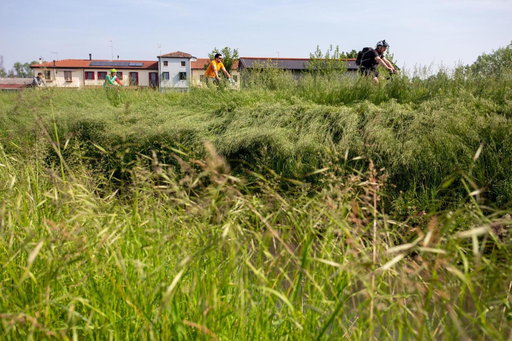 Agriturismo Al Botteniga Тревизо Экстерьер фото