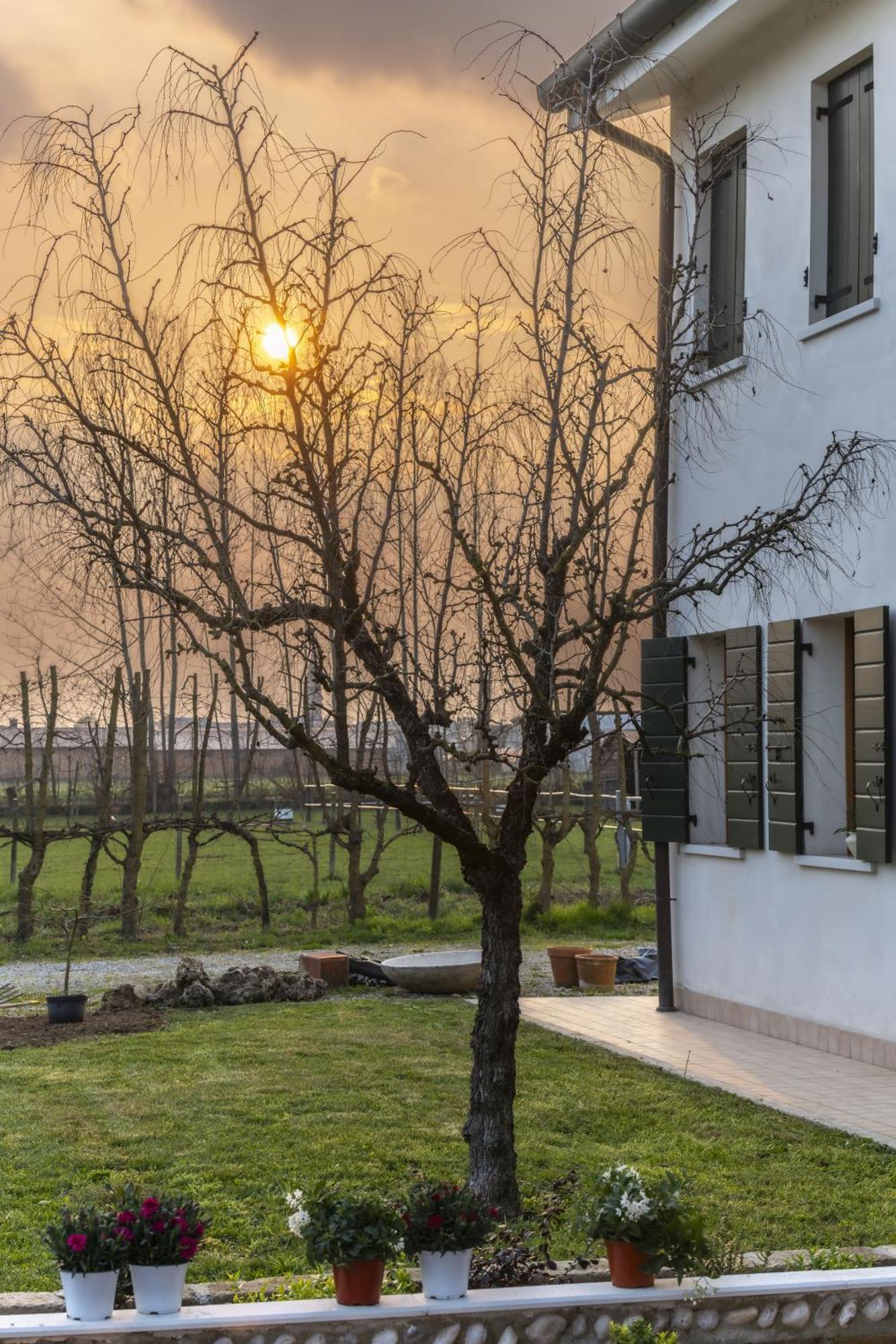 Agriturismo Al Botteniga Тревизо Экстерьер фото