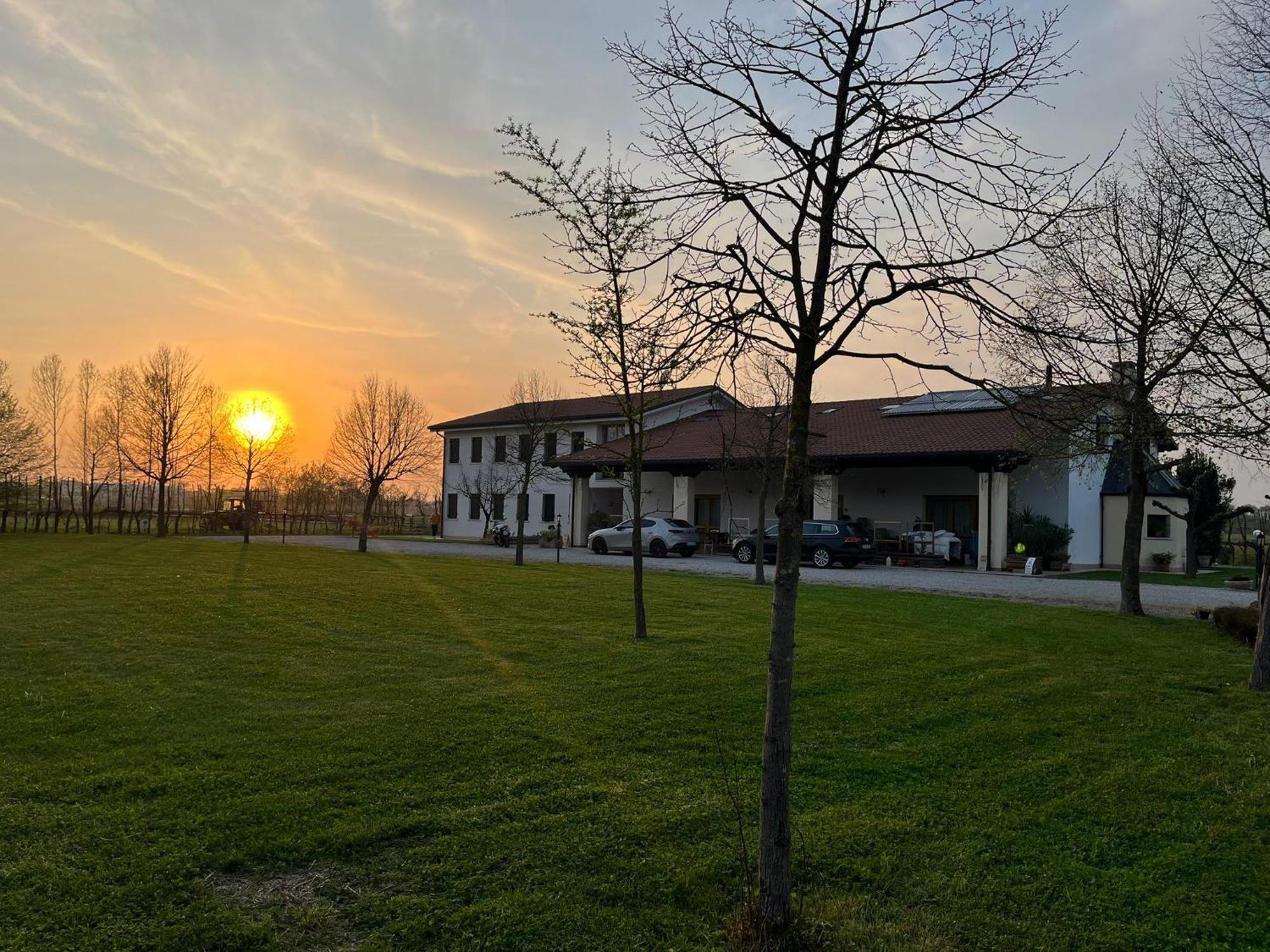 Agriturismo Al Botteniga Тревизо Экстерьер фото