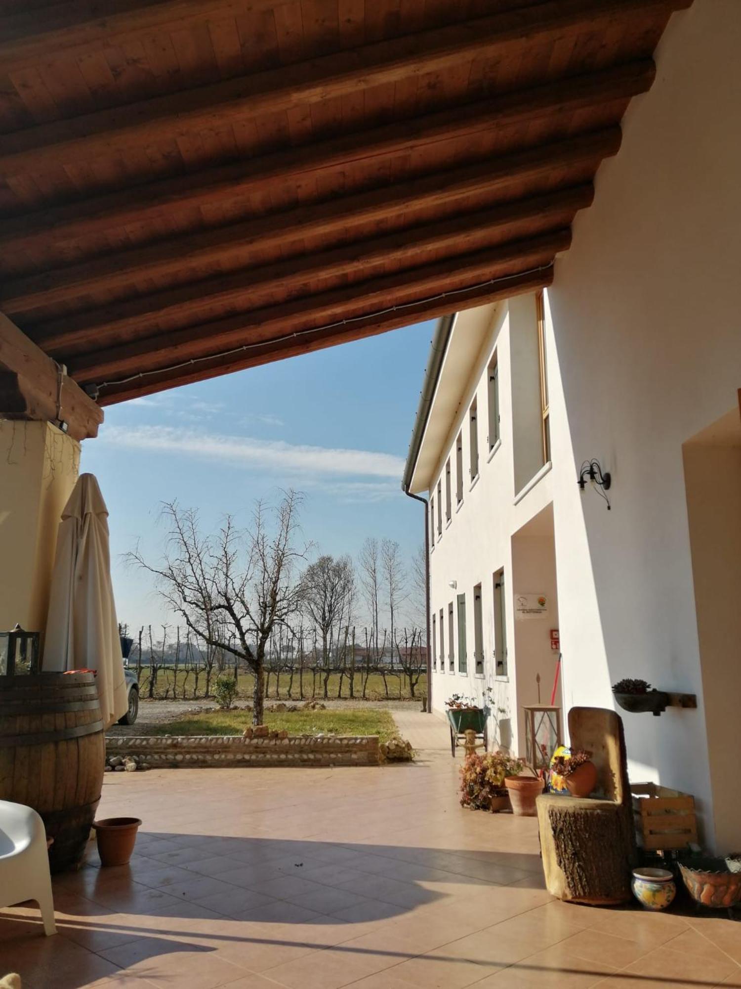 Agriturismo Al Botteniga Тревизо Экстерьер фото