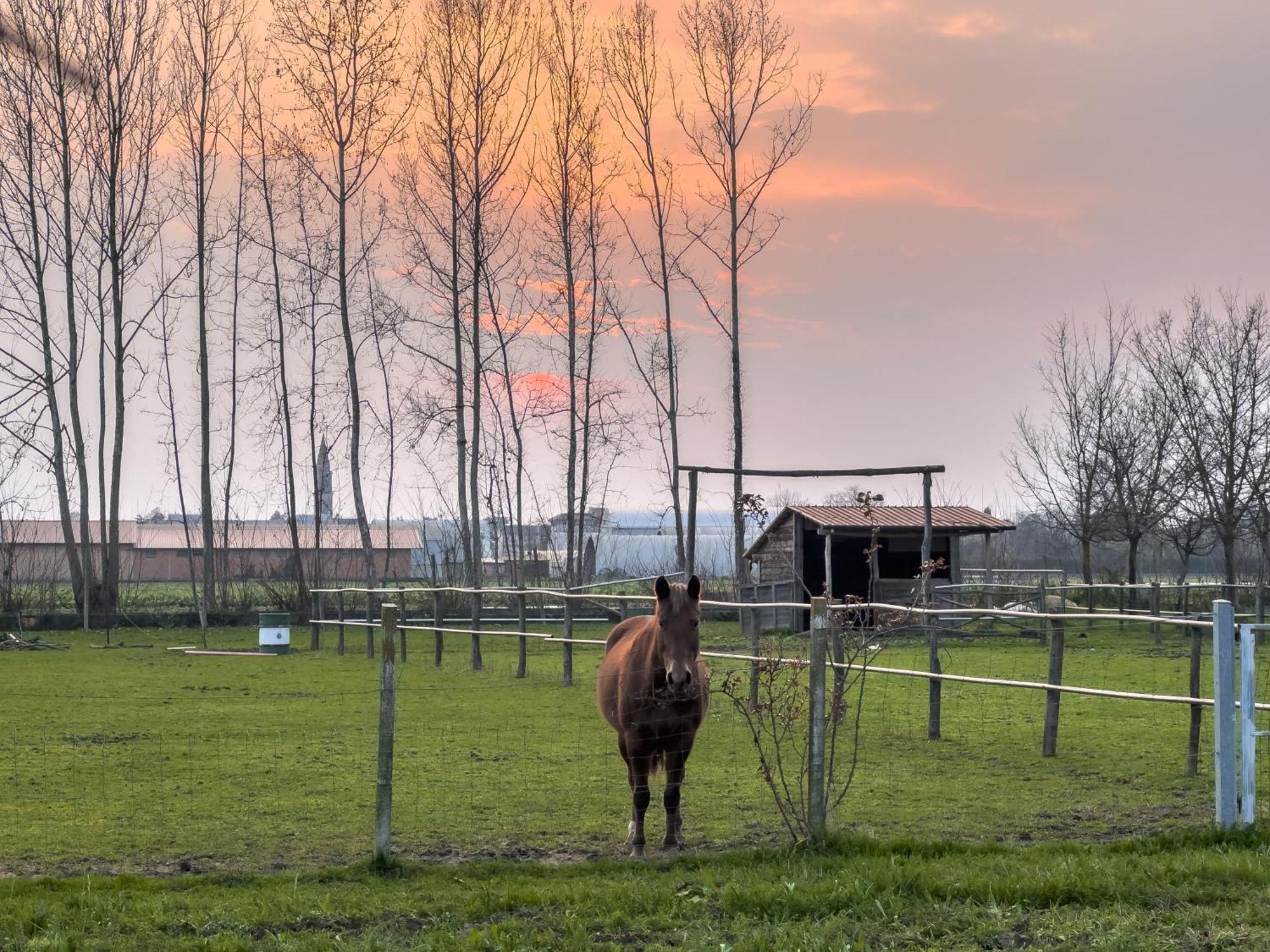 Agriturismo Al Botteniga Тревизо Экстерьер фото